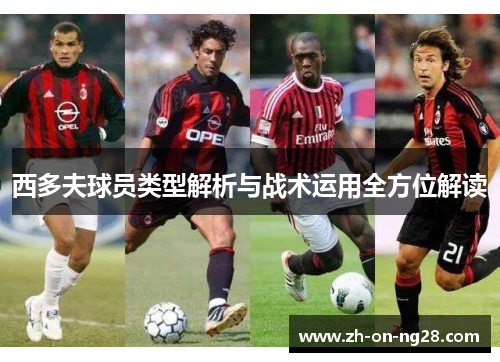 西多夫球员类型解析与战术运用全方位解读