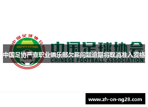 中国足协严查职业俱乐部欠薪问题逾期将取消准入资格 中国足协严查职业俱乐部欠薪问题逾期将取消准入资格